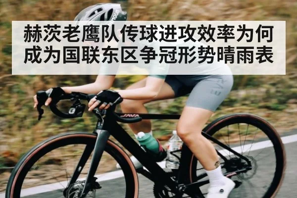 赫茨老鹰队传球进攻效率为何成为国联东区争冠形势晴雨表